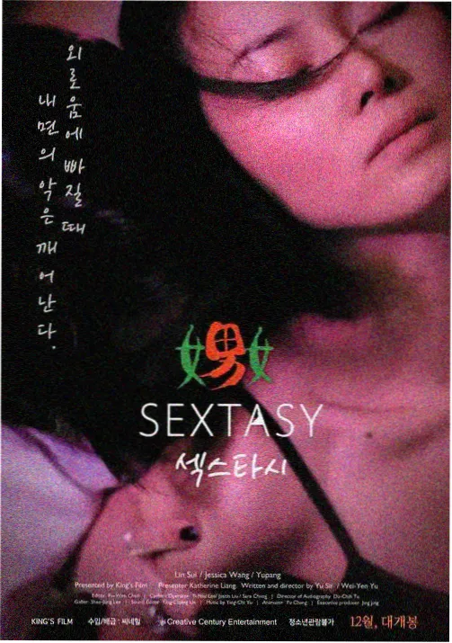 魔女与野兽诅咒契约的核心设定示意